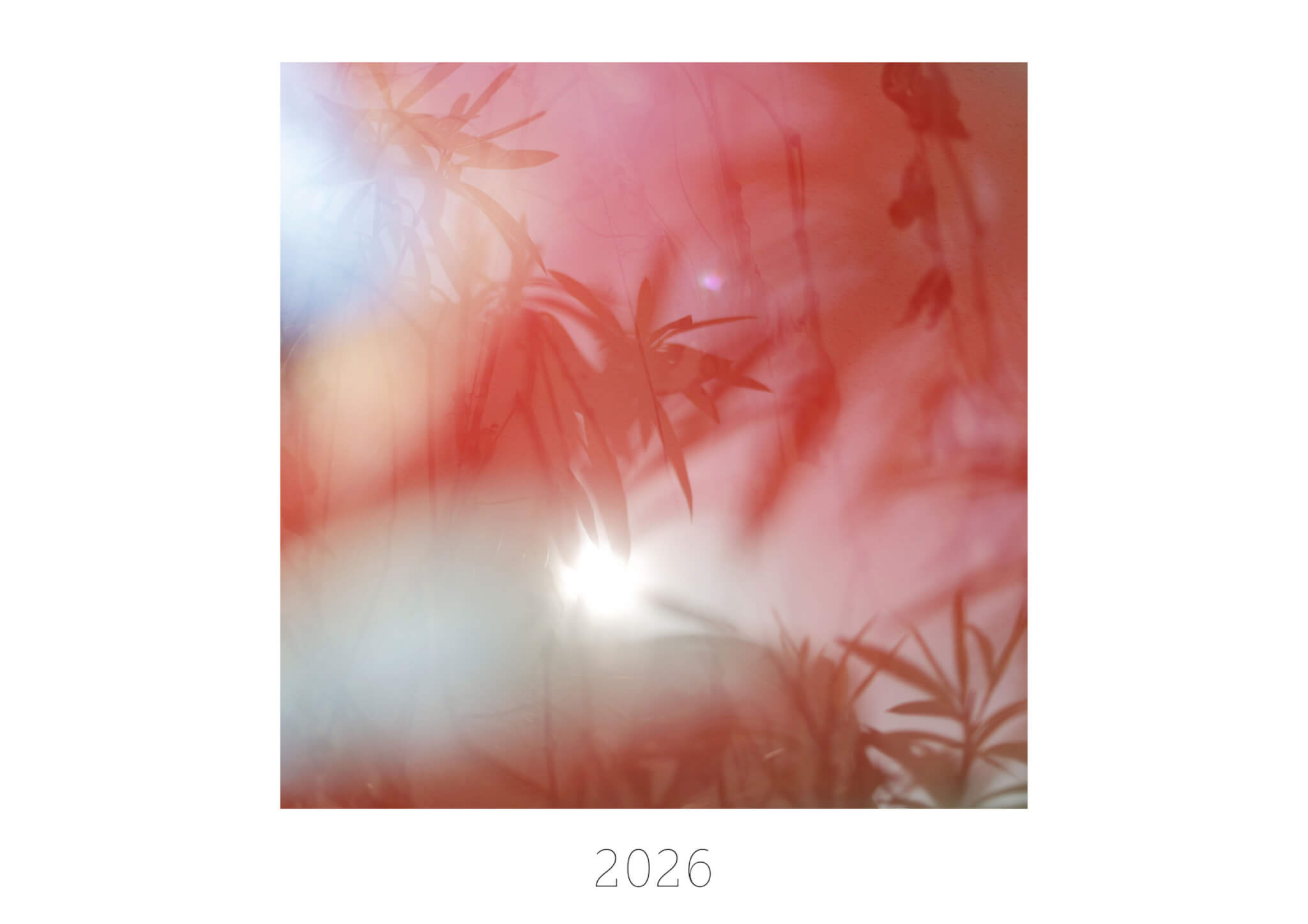 Julia Hofmann Calendar26